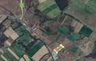 Lugoj, Teren 16.800 Mp., Cu deschidere  de 80 Ml., La Centura Ocolitoare - 7