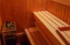 Duplex 4 camere pe bd. Unirii, mobilat, sauna, terasa - 10