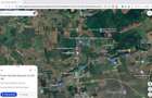 Teren intravilan 26.300 mp Saftica Balotesti - PUZ în lucru - 12