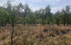 Teren intravilan  4.512 m  – Nucșoara  Argeș, 2 căi de acces, toate utilitățile. - 5