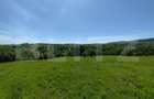 Casa 3 camere, 110 mp, 4800 mp teren, zona Horlesti - 4