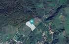Teren fâneață lângă pădure - Hunedoara - 1