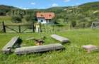 Casa individuala cu teren in Floresti pe Valea Sanaslaului - 6