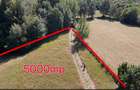 Teren 5000 mp, pretabil cabana de weekend, Sinca Noua