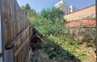 Casa adiacent Pache Protopopescu - 5