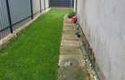 Valu lui Traian -casa 3 camere cu teren 300 mp -gaze la poarta  72500 euro - 31