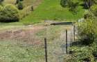 Teren extravilan,  5 hectare, Șaru Dornei - 5