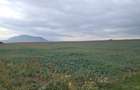 Oază de Natură și Potențial: Teren de 48.100 mp lângă Delta din Carpați - 4