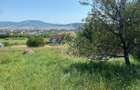 Teren intravilan 1300 mp-Viile cu Pomi-Unirea-Exclusiv - 5