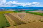 Comision 0% | Teren extravilan agricol 20.000 mp | Cristian, Brașov - 5