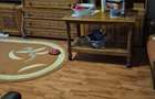 Apartament 2 camere confort 1 Targoviste Micro 12 - 6