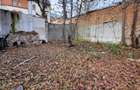 REV0017192 Piata Victoriei - VIla interbelica cu gradina - 6