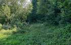 OPORTUNITATE: 4.400 mp la marginea PADURII, langa VILE NOI, toate UTILITATILE - 7