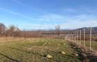 Teren 809 mp intravilan zonă în plină dezvoltare în Tropinii Noi - 7