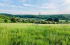 Teren mixt de vanzare in Hidiselu de Jos, Bihor - 1