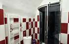 Apartament 3 Camere De Inchiriat Boul Rosu - 4