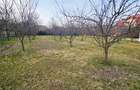 Teren ideal resedinta in Iancu Nicolae - Pipera | Serban Cantacuzino | 1000 mp - 5