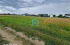 Teren intravilan, 600 mp, Sanpetru, Brasov - 7