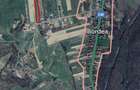 Teren extravilan 7.200 mp Bordea - Grajduri/ Oportunitate Investiție  - 4