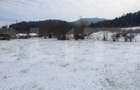 Teren intravilan 4.655 mp în Covasna – zonă liniștită, vedere la pădure - 4
