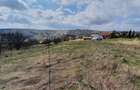 Teren intravilan | vanzare | 2745 mp | Feleacu - 1
