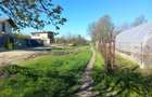 Teren intravilan 2927 mp - com. Domnesti sat Teghes - 5