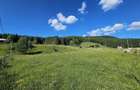 Teren intravilan Traisteni, Valea Doftanei – 2.290 mp, deschidere mare, padure - 7