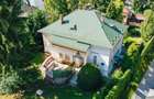 Vila in stil Art Nouveau (Targu Mures, str. Alexandru Papiu Ilarian) - 3
