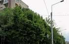 Apartament 2 camere Brancoveanu Marie Curie - 1