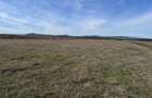 Teren de vanzare in Harman 4,4 Hectare - 5