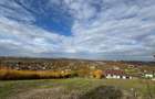 Teren intravilan Dealuri Oradea 3649 mp - 1
