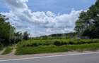 Teren extravilan, 12700 mp, oportunitate de investitie, zona Priseaca - 1