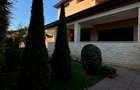 Vila Parc Bazilescu-Oportunitate investitie - 2