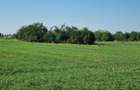 Teren intravilan 2.000 mp, două loturi construibile – Darvari, Ciorogârla - 8