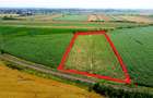 Teren extravilan - 5.000 m² in Botiz | 3 km de Satu Mare - 4