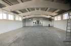 2 Hale industriale din beton, Oras Pecica - 1