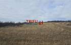 Teren extravilan în zona Pâclișa - 2