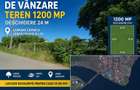 De Vanzare Teren Cernica Strada Luceafarului Zona Lac Padure 1200 MP FS 24M - 1