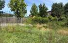Teren 1082mp + drum - Parcelabil - str Tudor Vladimirescu, Otopeni Odaile - 6