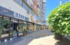 Apartament 2 camere de închiriat Ultracentral, Lângă Gradina Botanica - 14