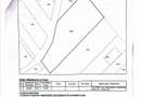Teren pentru constructie casa cu utilitati – Ciolpani, zona Izvorani - 1