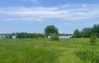 Damaroaia-Coralilor Deschidere Lac Grivita - 4