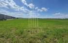🌿 Teren 10.000 mp, Șura Mică – Ocna Sibiului | Investiție, COMISION 0% - 5