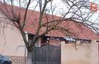 Casa individuala cu 3 camere si teren de 720 mp in Gottlob - 3