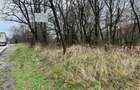 Teren intravilan 6.500 m²–Deschidere 144 ml drum european E81, km 35, Morăresti - 5