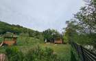 Teren 1000 mp cu tiny house, priveliste spre rau si padure- la 1h30 de Bucuresti - 5