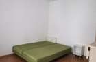 Apartament 1 camera Pet Friendly Calea Motilor - 4