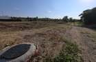 Green City I Proiect case insiruite I 3000 mp lotizat - 11