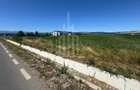 🌿 Teren 10.000 mp, Șura Mică – Ocna Sibiului | Investiție, COMISION 0% - 6