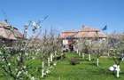 Casa 6 camere, 250 mp, zona Luncani - 4